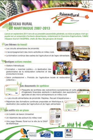 Affiche Actions 2007-2013