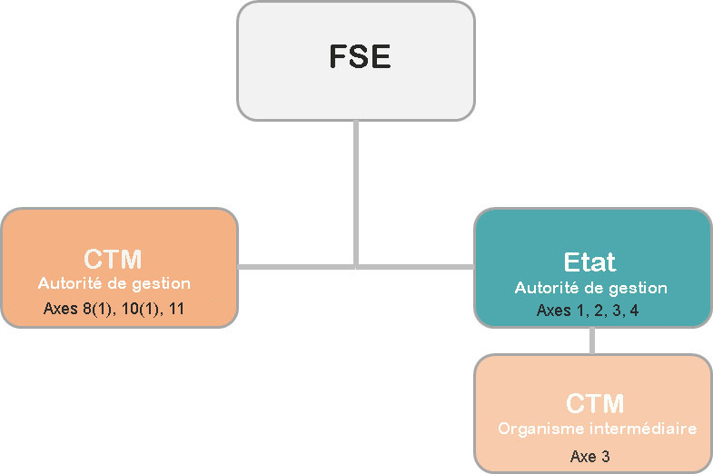Organisation du FSE Etat et CTM