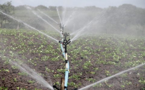 FEADER : AAP – Mesure 4.1.1 «Soutien aux systèmes d’irrigation à la parcelle»