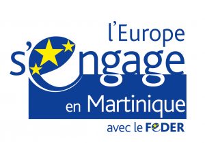 Kit Logo FEDER Martinique